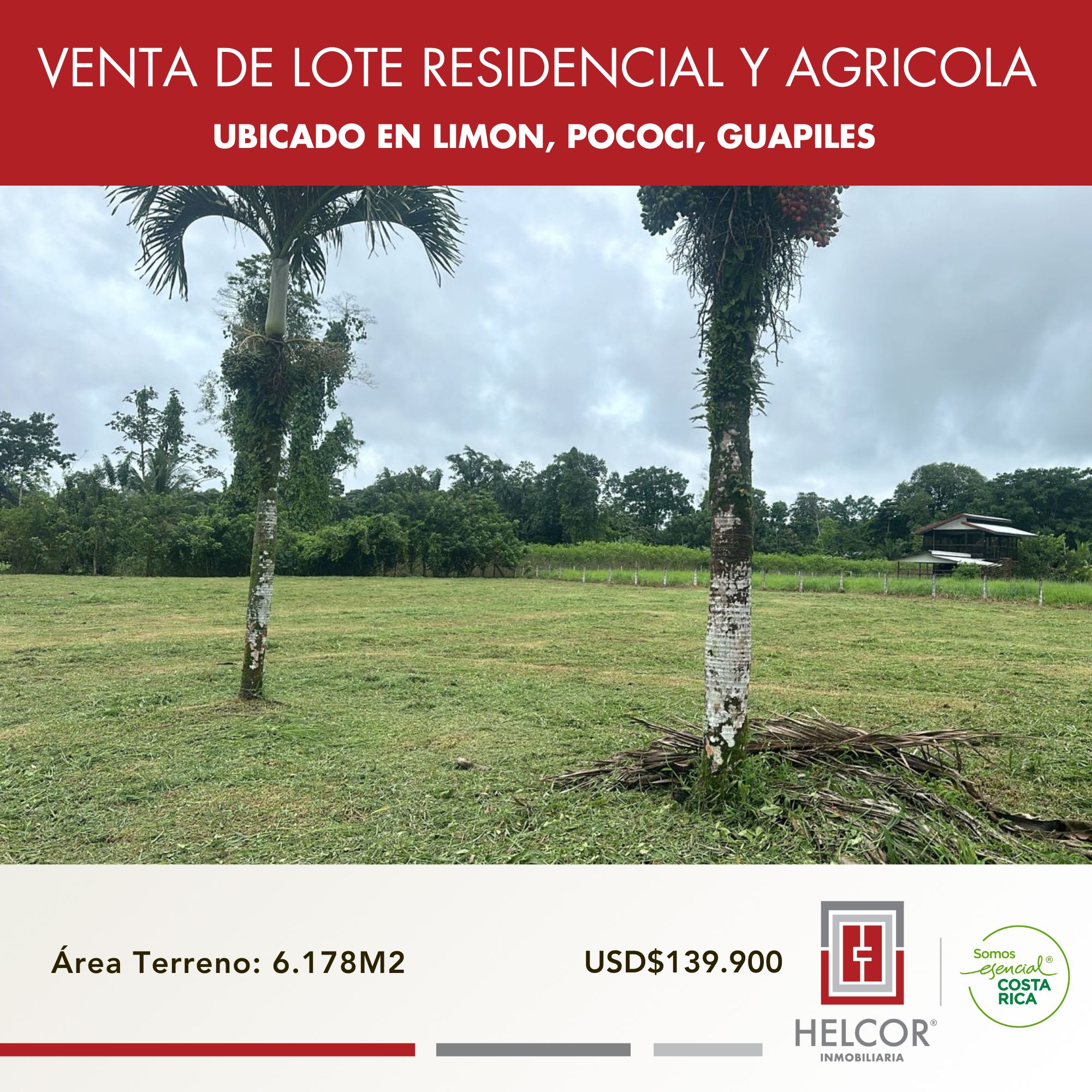 LOTE RESIDENCIAL Y AGRICOLA EN GUAPILES