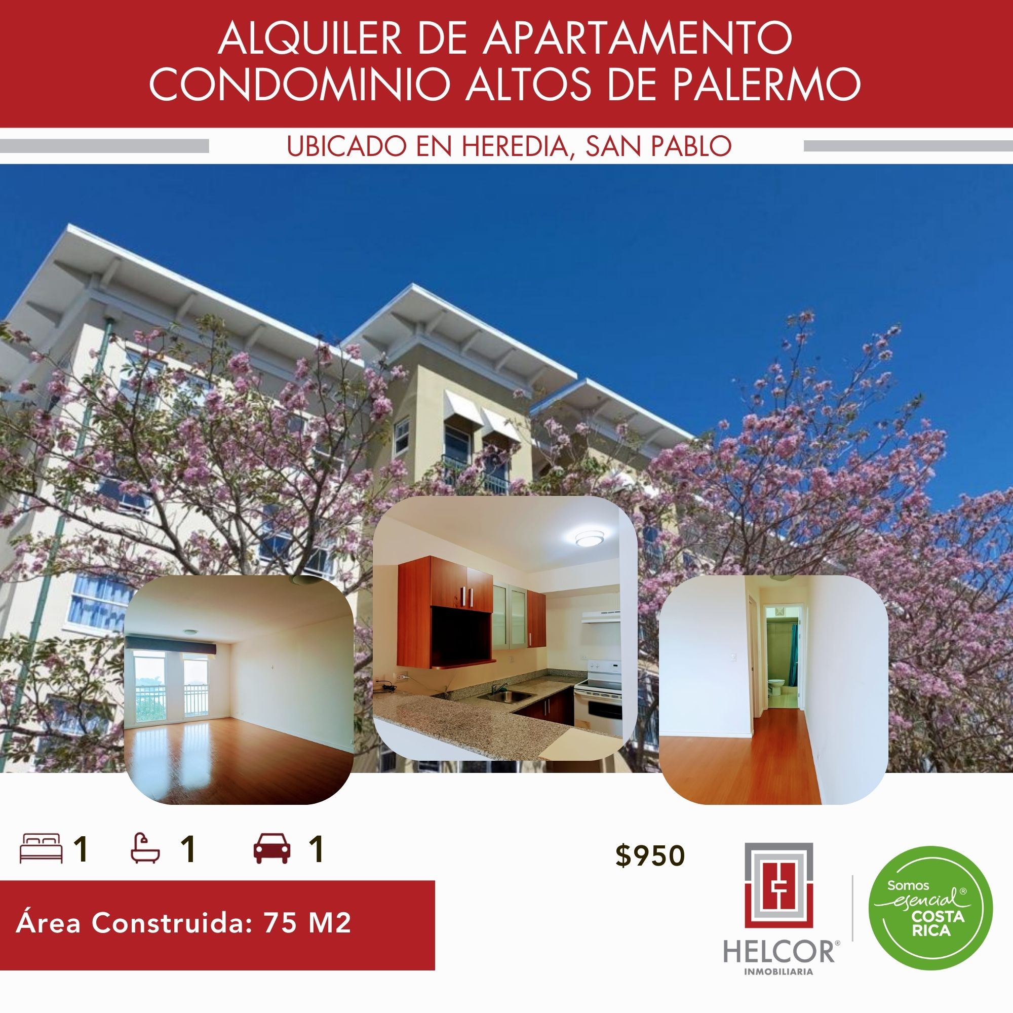 ALQUILER DE APARTAMENTO, SAN PABLO, HEREDIA, CONDOMINIO ALTOS DE PALERMO